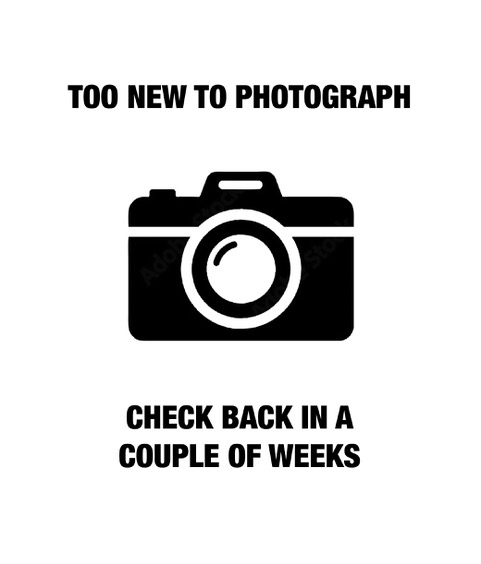 Evaporative Cooler - 450W